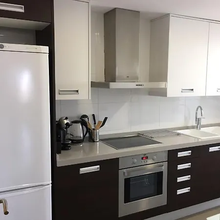 Oceanografic Apartamento Parking Wifi Βαλένθια